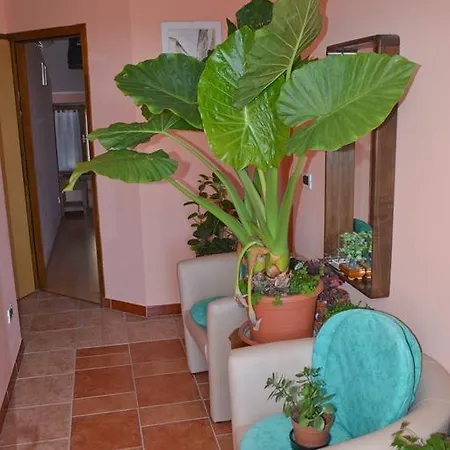 Sobe Pintur Grožnjan