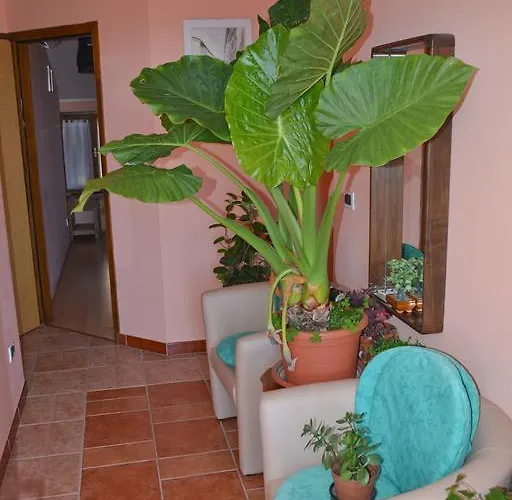 Sobe Pintur Grožnjan